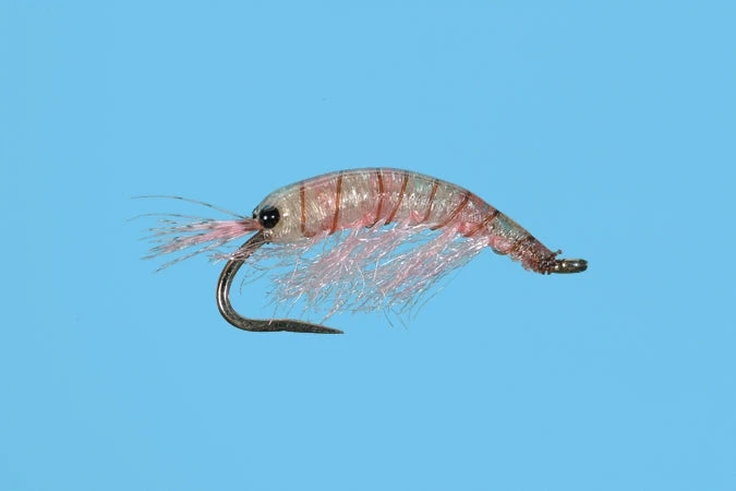 Solitude Shop Flies Ultra Scud - Pink 3 Solitude Shop Flies Ultra Scud - Pink
