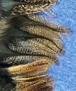 Pablo Hackle Spanish Coq De Leon