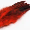Nature's Spirit Grizzly Variant Schlappen Hackle