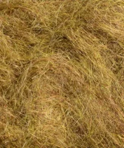 Rohmer Dubbing Arizona Simi Seal