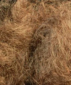 Rohmer Dubbing Arizona Simi Seal