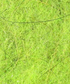 Hareline Squirrel Blend Dubbing