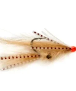 Fulling Mill Squimp - Tan