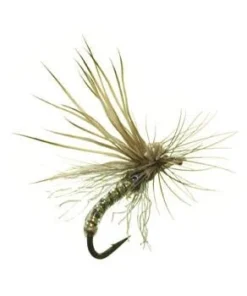 Umpqua Missing Link Caddis Dark