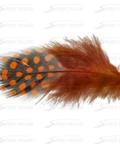 Hareline UV2 Large Eyed Guinea Feathers & Marabou
