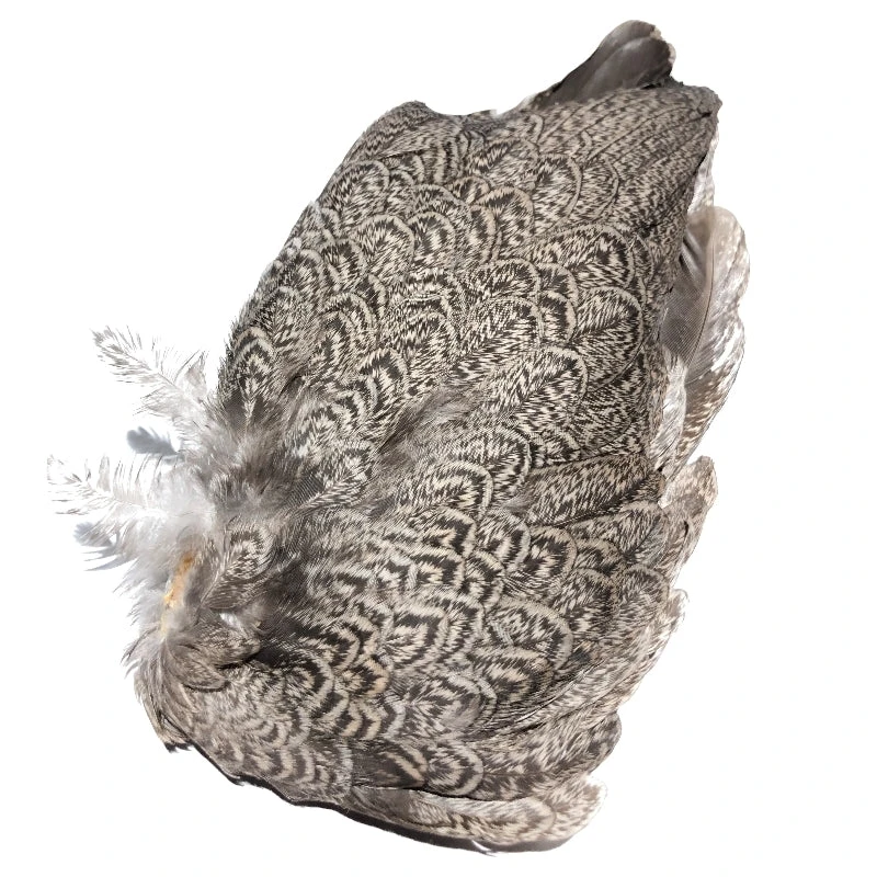 Whiting Brahma Wing Soft Hackle Pair 3 Whiting Brahma Wing Soft Hackle Pair