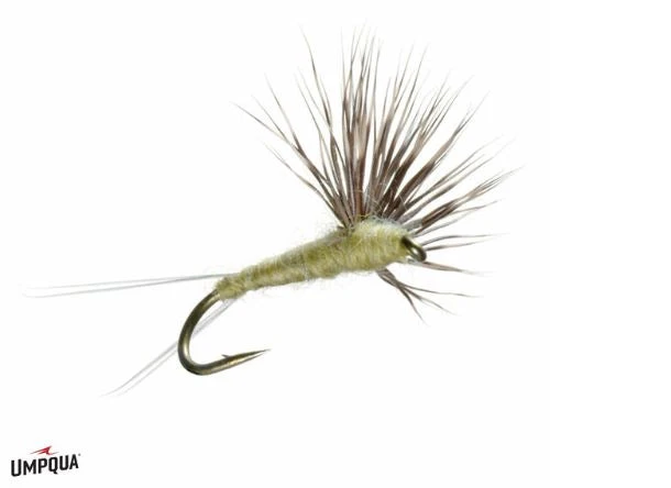 Umpqua Shop Flies Comparadun - PMD 3 Umpqua Shop Flies Comparadun - PMD