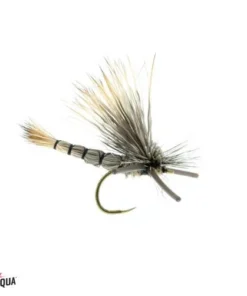 Umpqua Shop Flies DJL Drake - Gray