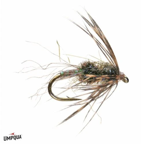 Umpqua Shop Flies Swing Nymph Peacock 3 Umpqua Shop Flies Swing Nymph Peacock