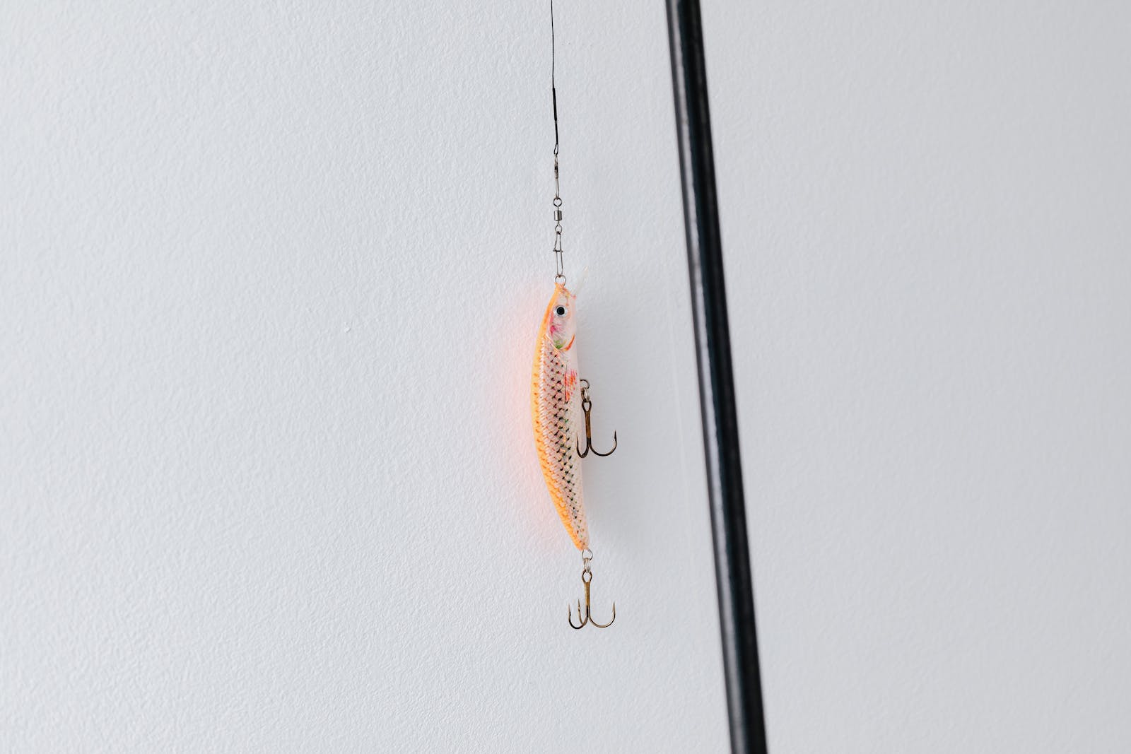 Fly Fish Food Sales -FLY FISH FOOD Sales 4558