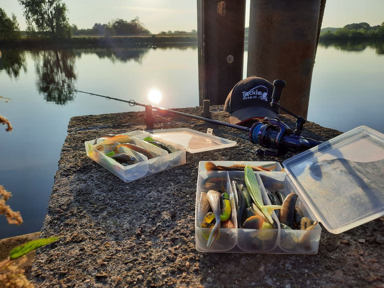 Fly Fish Food Sales -FLY FISH FOOD Sales 5482